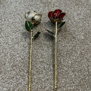 I Hate Steven Singer Gold-Plated Roses